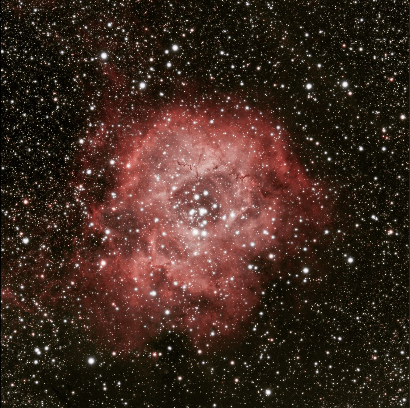 The Rosette Nebula